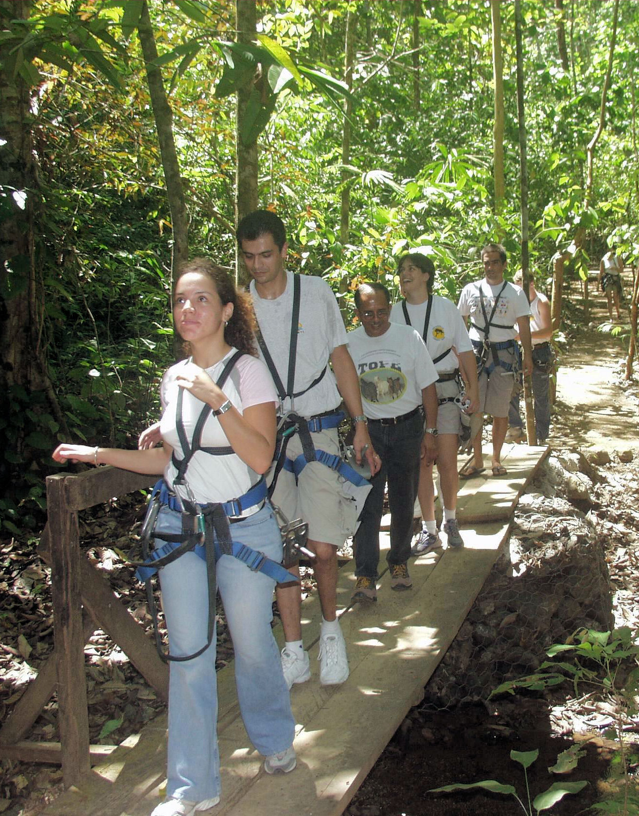 Rainforest  Wagon & Banana Plantation